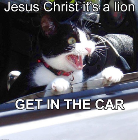 jesus_christ_its_a_lion