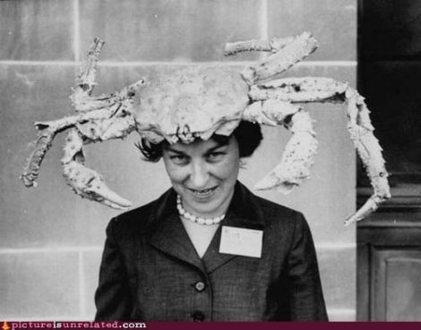 wtf-pics-crab-hat
